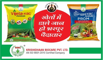 Best fertilizers