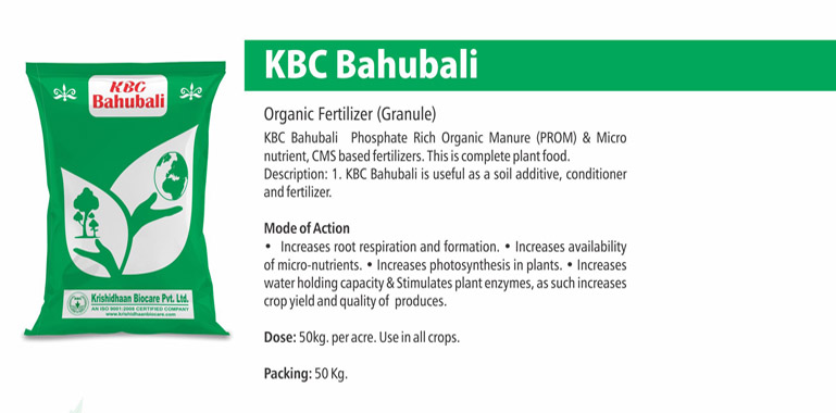 kbc bahubali