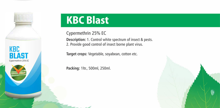 kbc blast