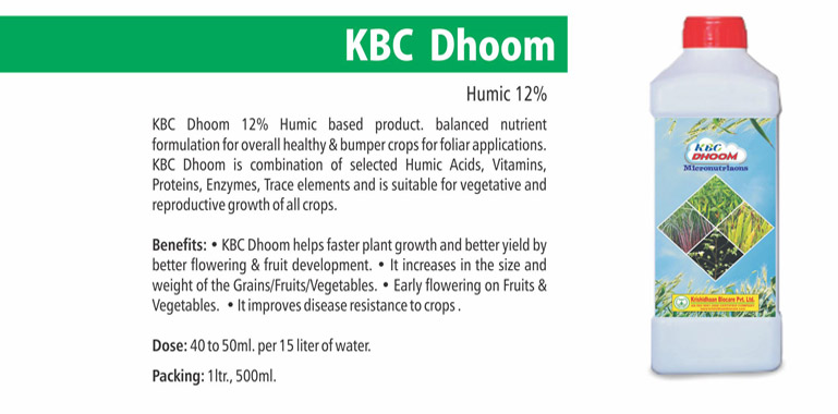 kbc dhoom