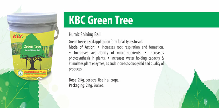 kbc green tree