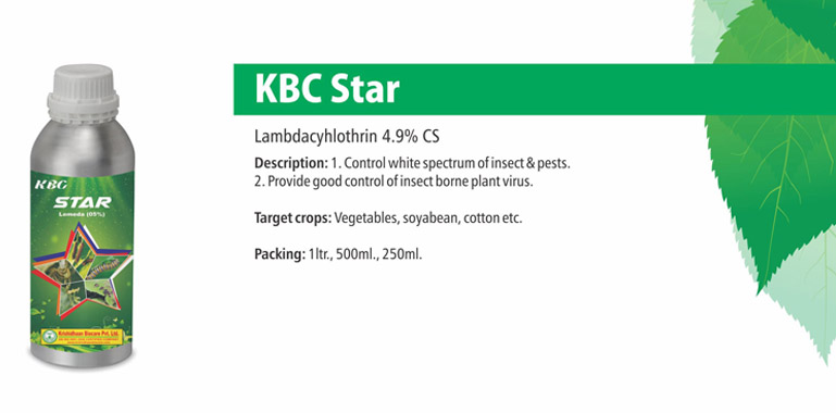 kbc star
